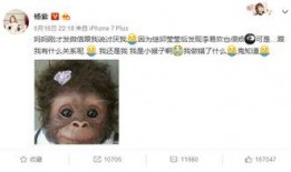 杨紫微博爆料事件最新,揭秘娱乐圈背后真相