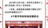 平江最新爆料新闻报道,揭秘事件背后惊人真相