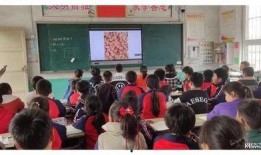 汊河小学最新爆料事件新闻,事件真相及影响全解析