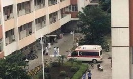 广西师大爆料新闻事件最新,校园事件引发社会关注，真相即将揭晓