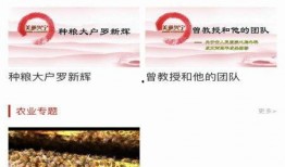 兴宁新闻最新爆料视频播放,视频揭秘事件真相，引发社会关注