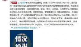 佛山网红爆料新闻事件最新,揭秘某热门事件背后真相，引发网友热议