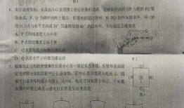 小蛙最新爆料消息是真的吗,真相揭秘，消息可靠性分析