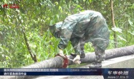 黔江最新爆料新闻视频,视频揭露惊人真相，事件详情曝光！
