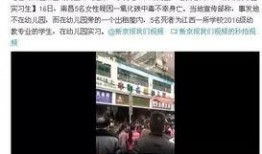 进贤在线爆料最新消息今天,今日热点事件速览